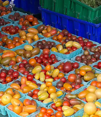 Plastový podnos na jídlo